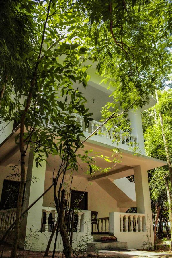 Panna Tiger Resort- Riverside Property Rājgarh Eksteriør bilde