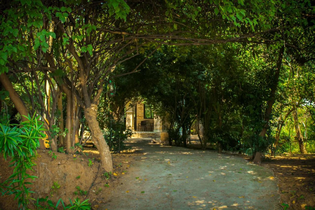 Panna Tiger Resort- Riverside Property Rājgarh Eksteriør bilde