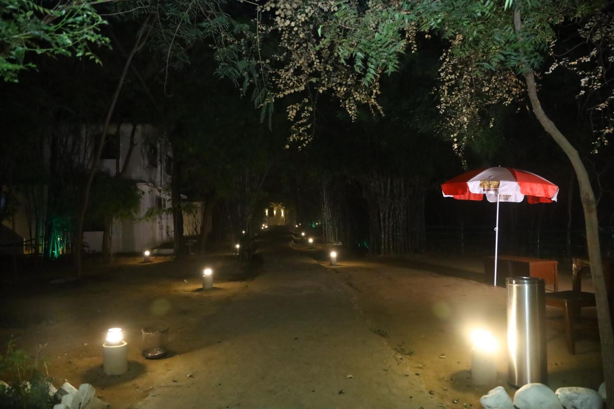 Panna Tiger Resort- Riverside Property Rājgarh Eksteriør bilde