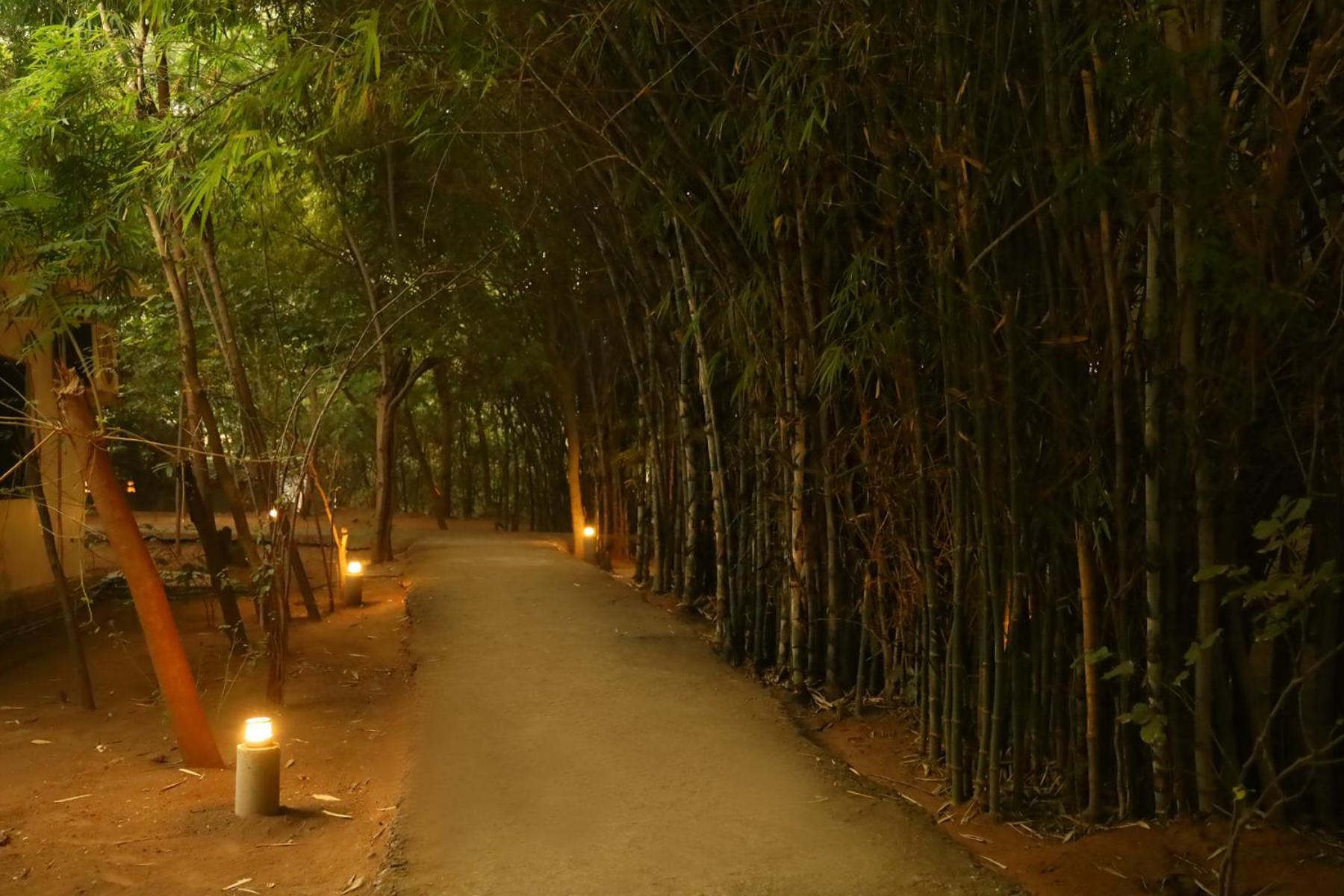 Panna Tiger Resort- Riverside Property Rājgarh Eksteriør bilde